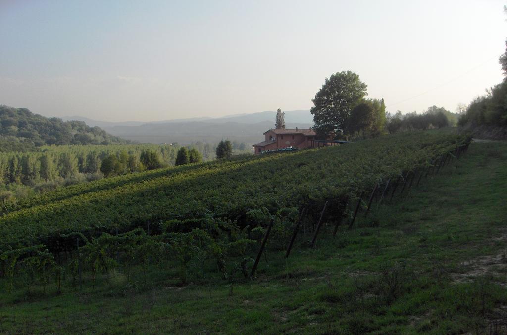 Podere Chiaromonte Palaia Ngoại thất bức ảnh