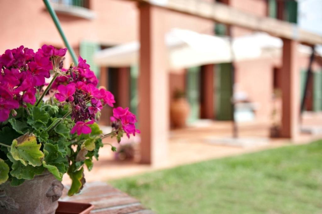 Podere Chiaromonte Palaia Ngoại thất bức ảnh