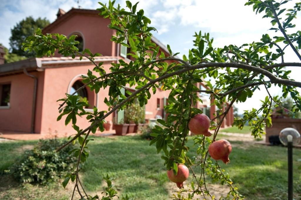 Podere Chiaromonte Palaia Ngoại thất bức ảnh